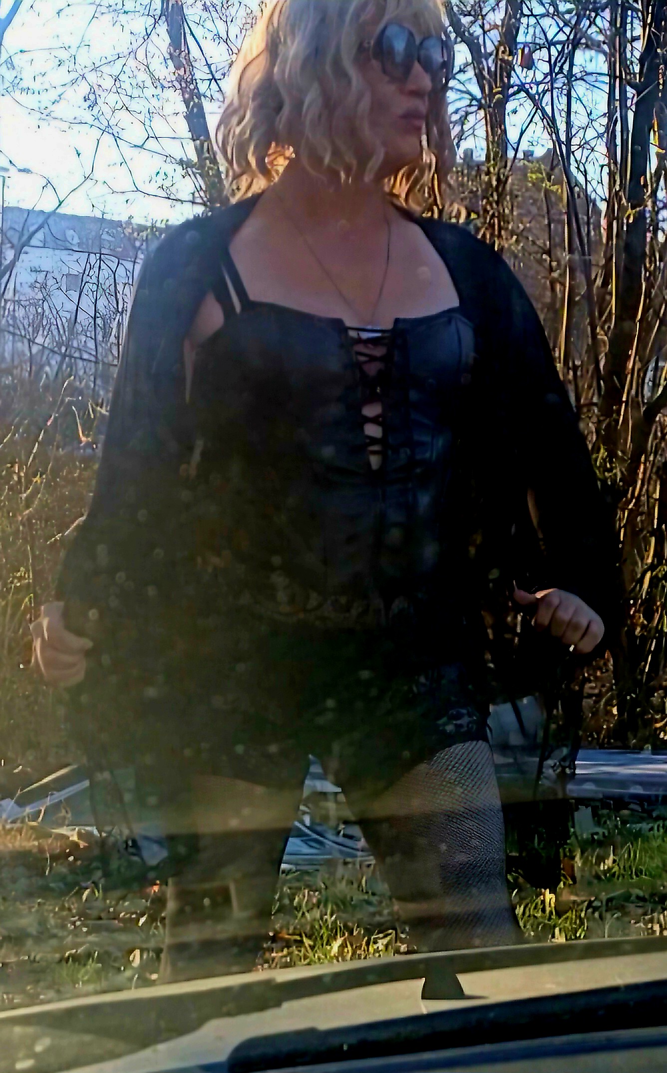 Trans-Lisa Bild 5