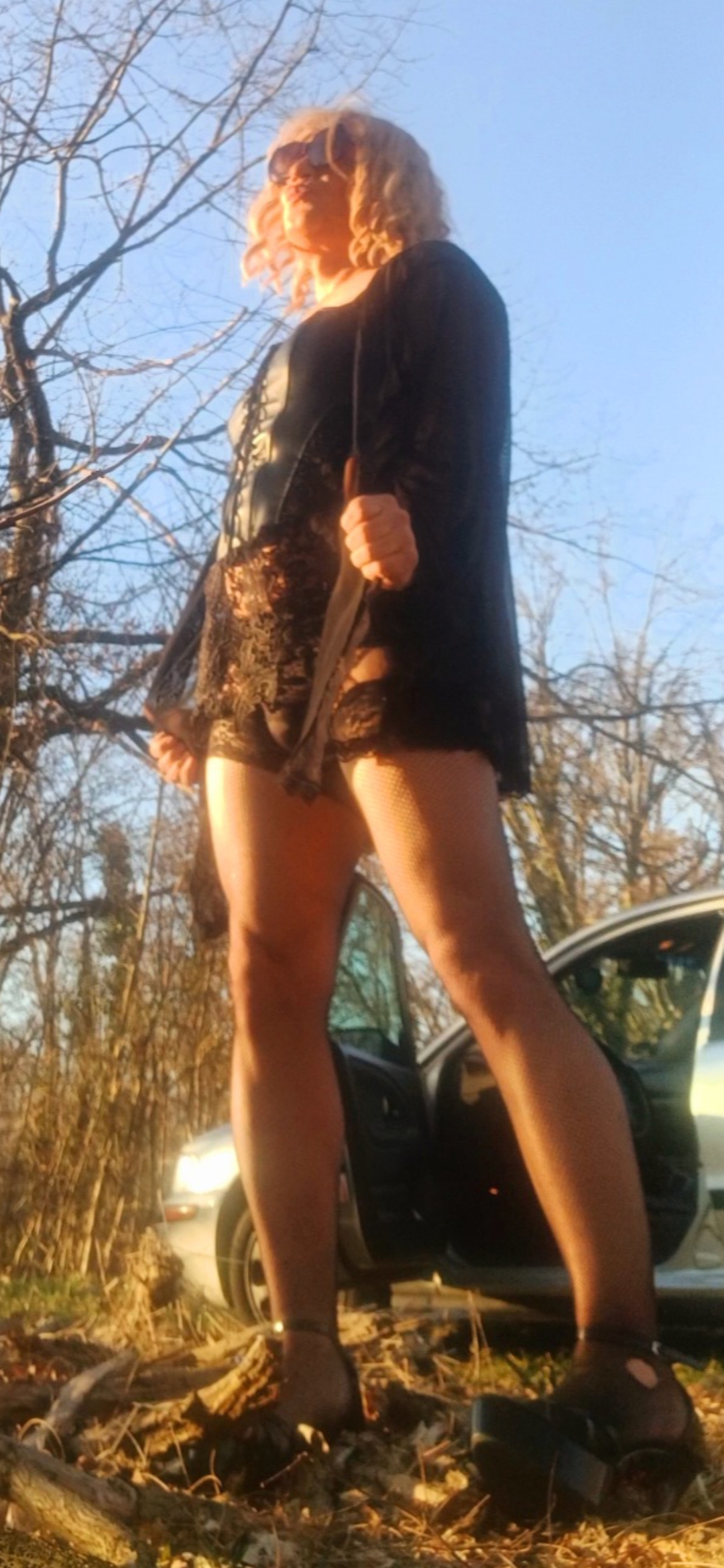Trans-Lisa Bild 3