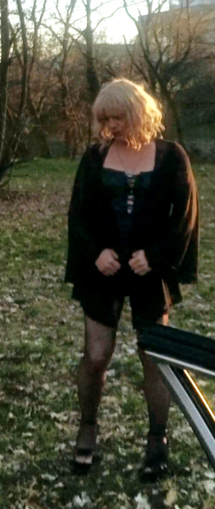 Trans-Lisa Bild 7